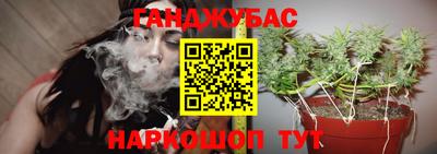 apvp Заволжье